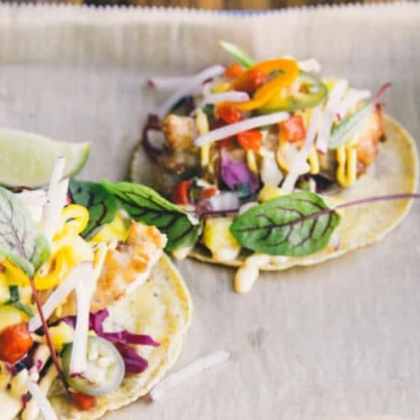 pork taco with pineapple salsa