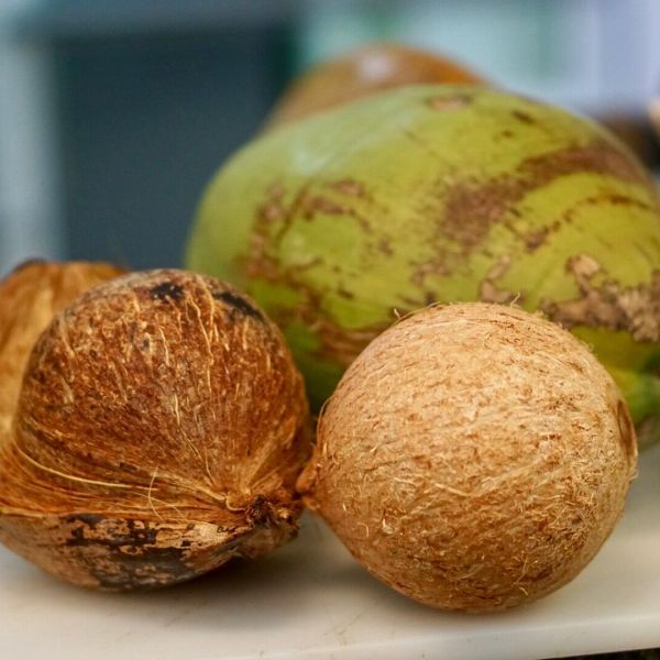 coconuts in 3 different stages