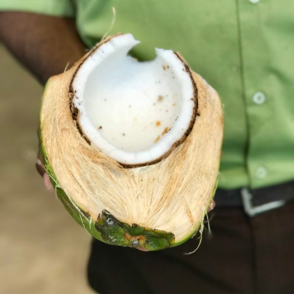 inside of a cut coconut