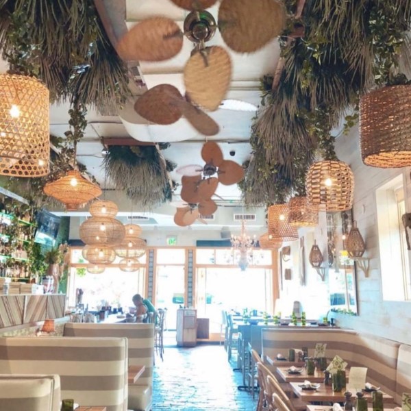 a band performing on a counter