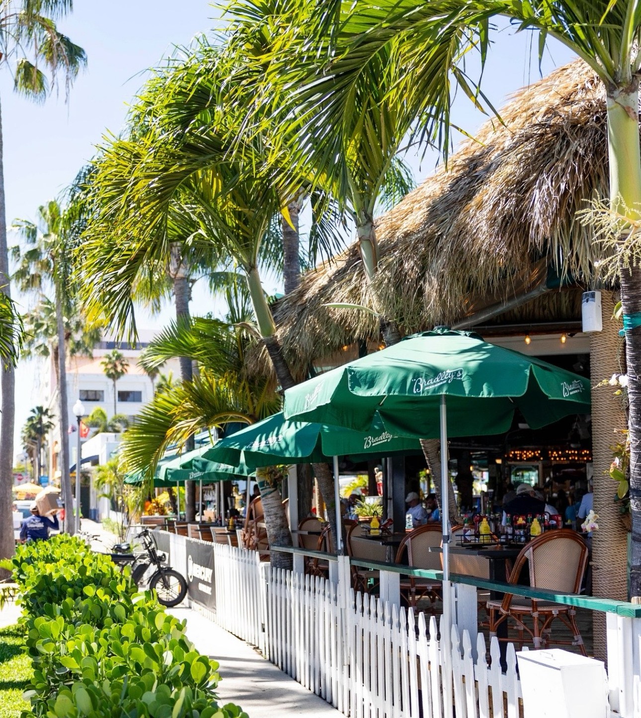 Outdoor cafe with palm trees, green umbrellas, and a white fence on a sunny day.