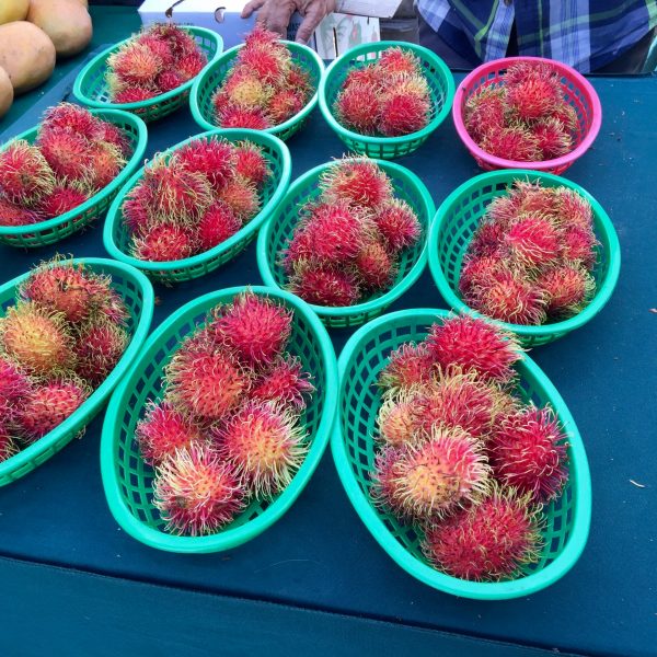 a basket of rambutan at the west palm beach greenmarket