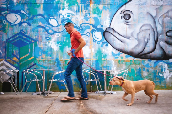 a person standing next to a dog