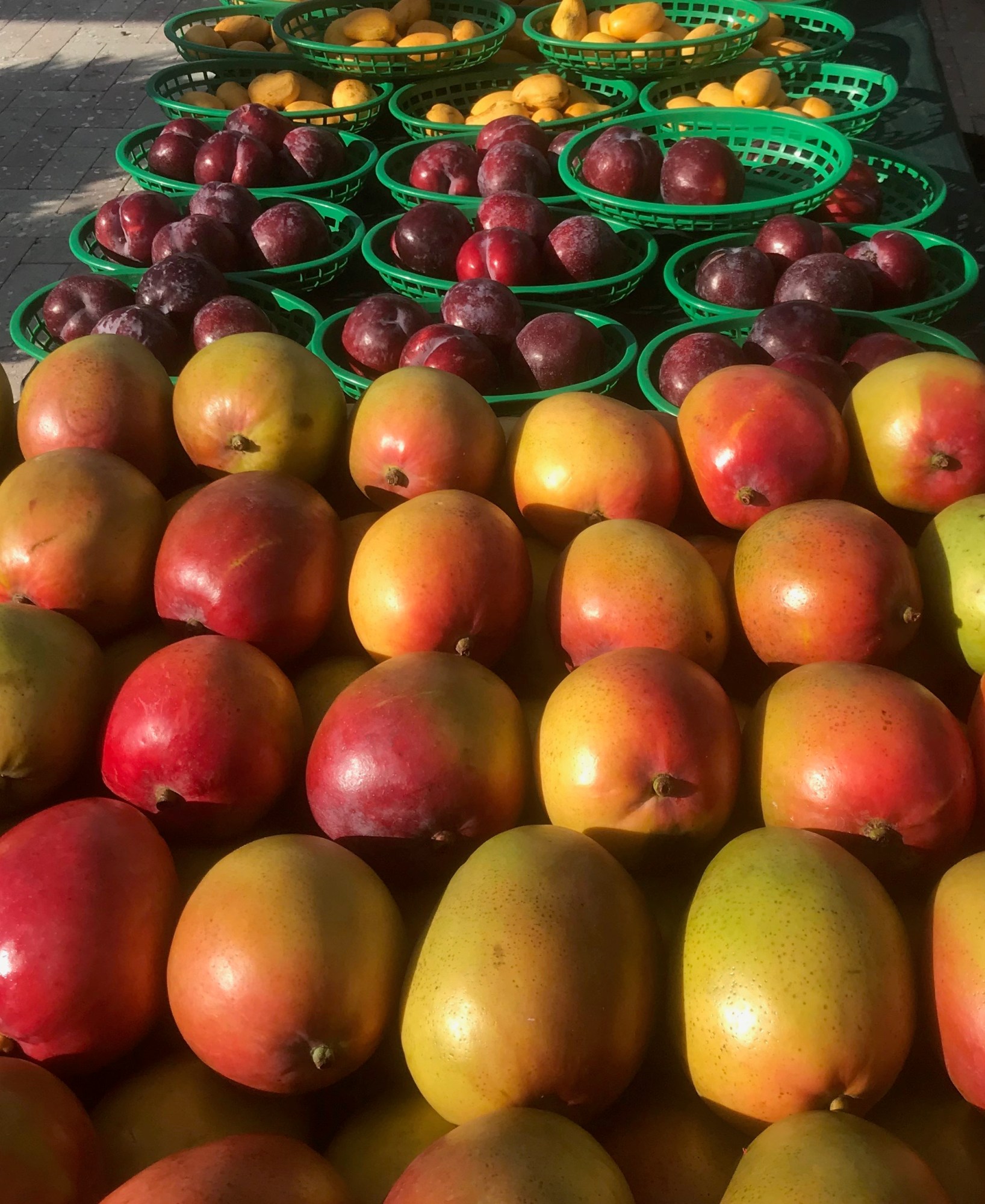 Colorful display of mangoes in rows and baskets at a market.